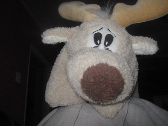 Wpis maciek1