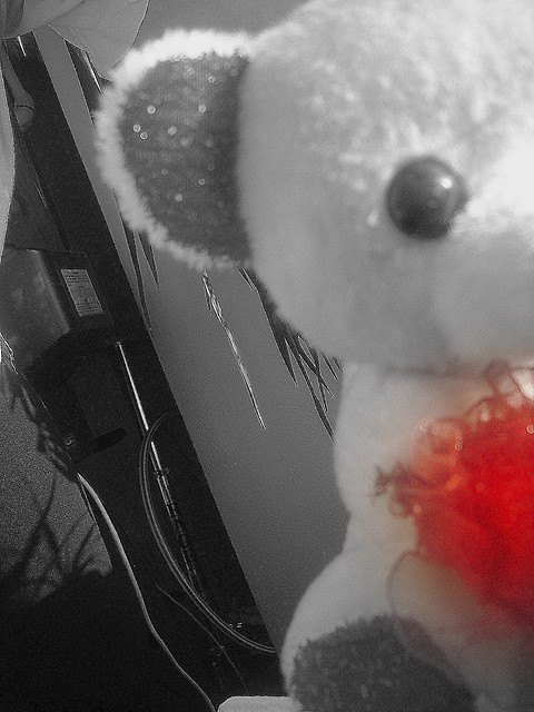 Wpis xdevil