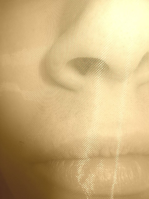 ...myLENIE...