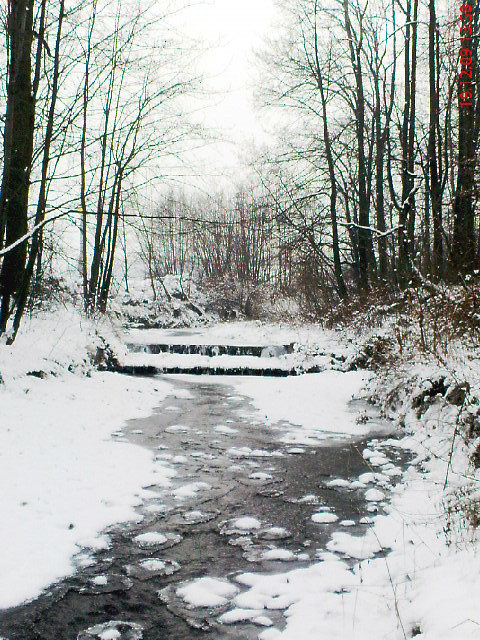 Broken Ice