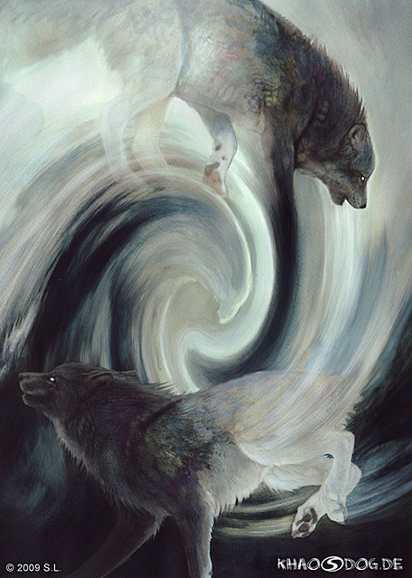 Chaos