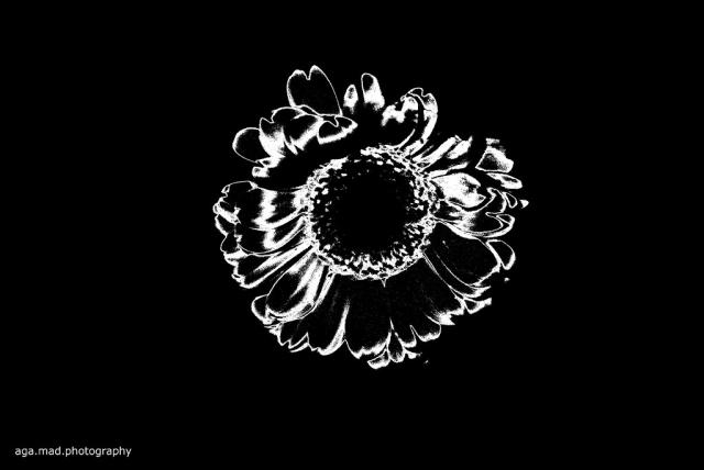 zeby bylo graficznie/
