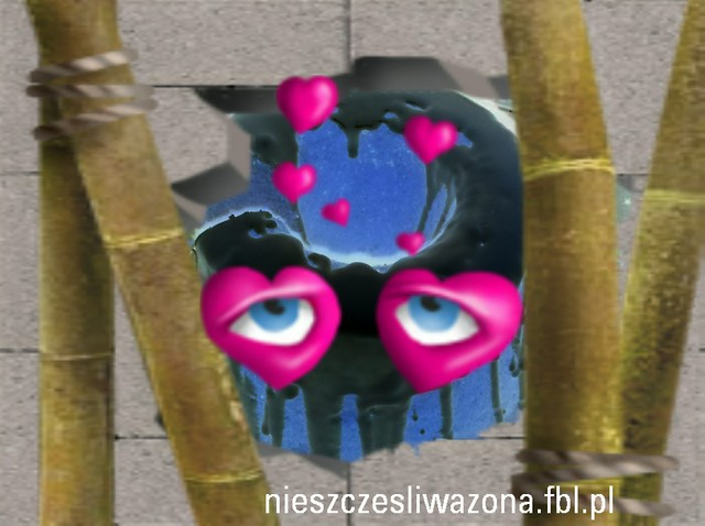 Wpis nieszczesliwazona