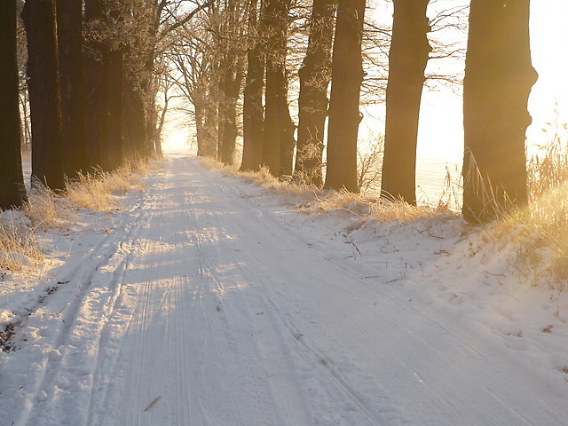 zima 2008/2009
