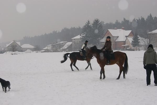 Wpis skoczkaandsavanna