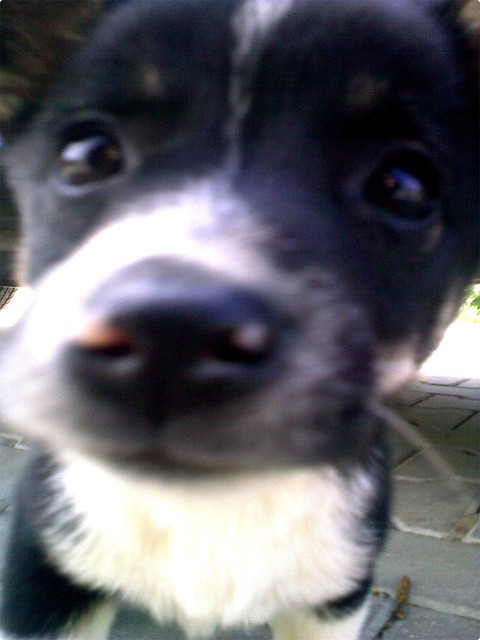 shadow..