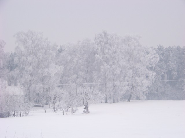 Zima :)