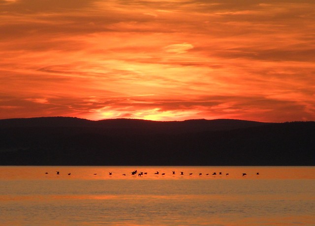 Balaton- lato