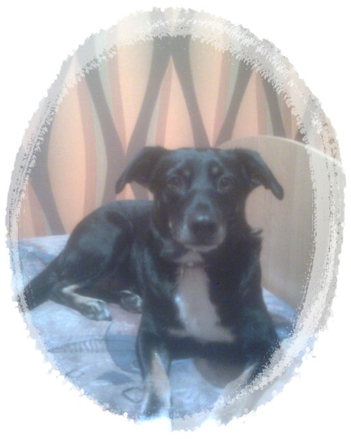 Niunia ! ;***