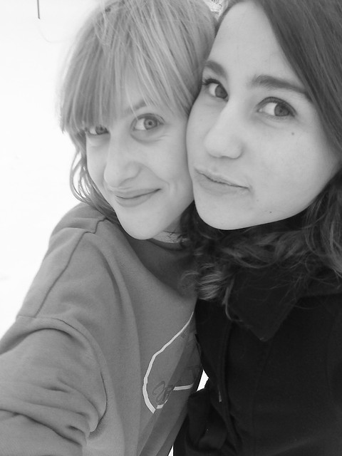 polly.
