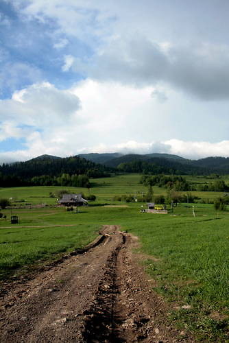 wiosna