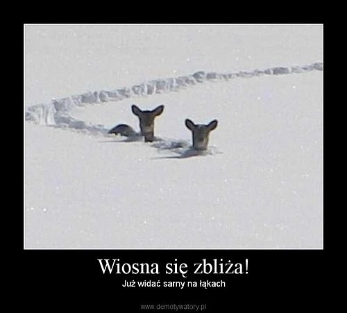 WIOSNA :)