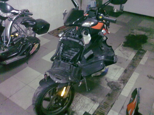 Wpis xsqterxlivex