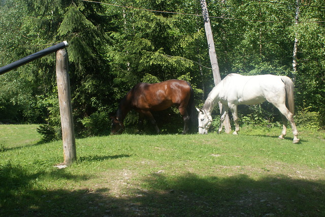 Spojrzyj..