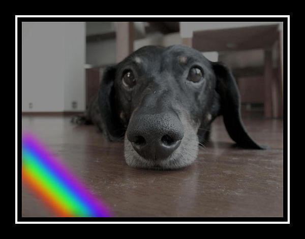 Tinka ;(