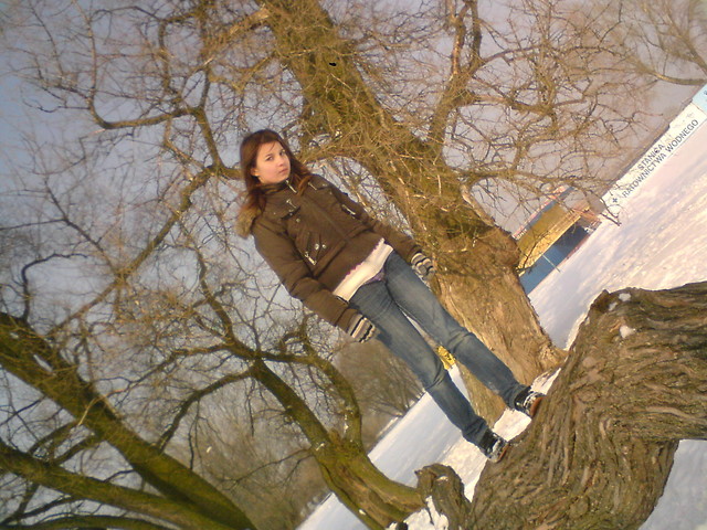 Nad Wisek