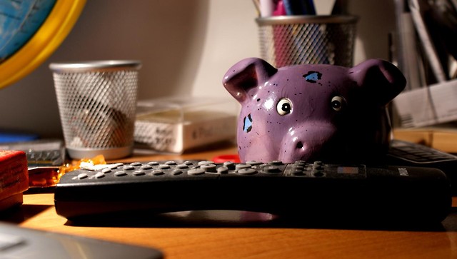 pig