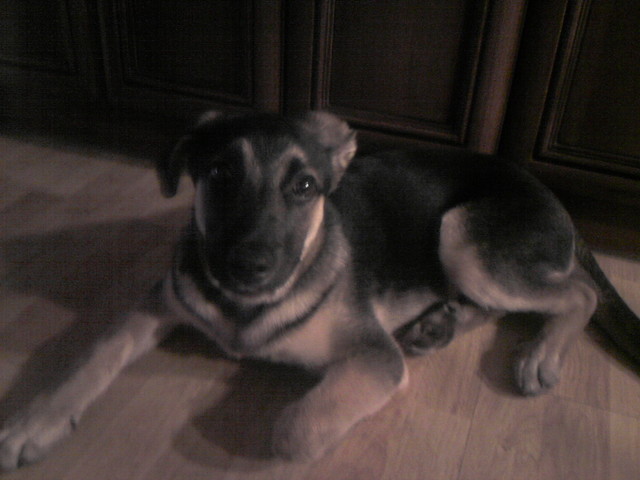 Maniu :D