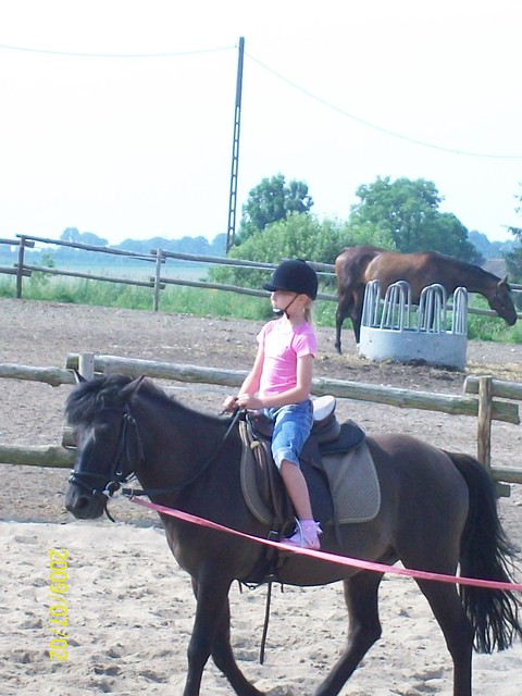 JA I  FIKUS */*/*/