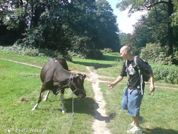 Wpis zielonozoltoczerwony