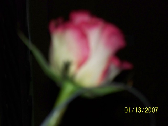 Niewyranie ;d