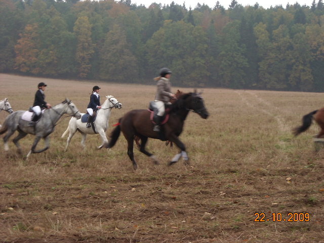 nasz pierwszy hubertus 2009
