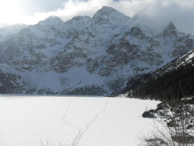 Wpis palitoksyna