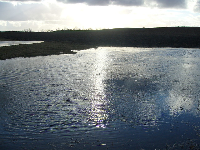 bagienko