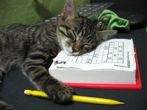 Trudne jest SUDOKU :)
