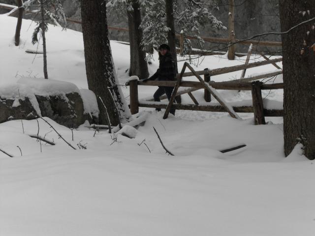 Wpis palitoksyna