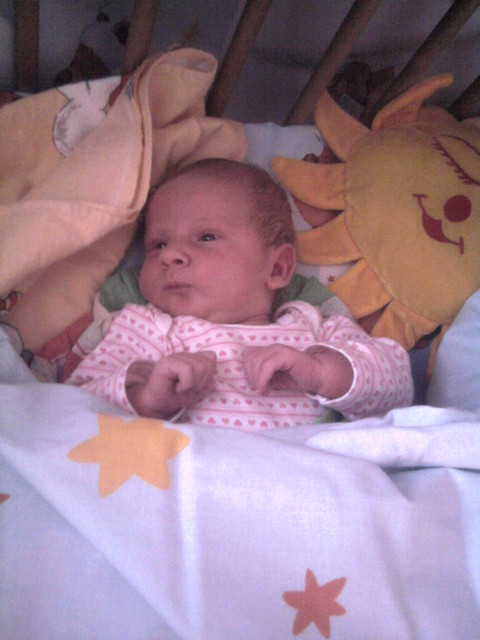 Wpis lodzia6