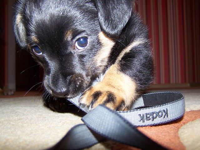 cuuuudo!