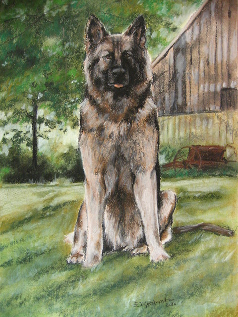 Tara