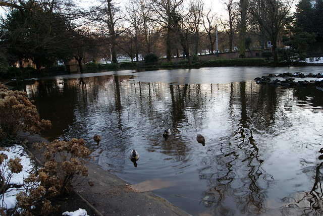 Wpis myszysko