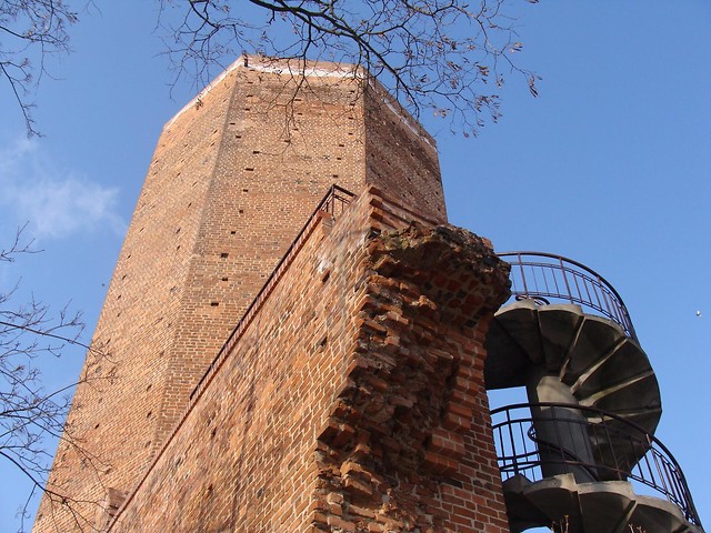Mysia Wiea 