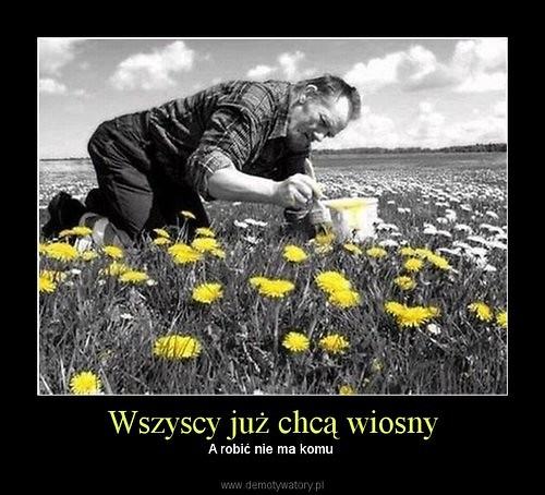 Wpis kasiaadjam