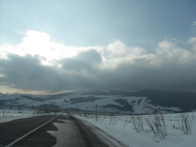 Wpis palitoksyna