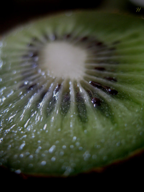 kiwi.