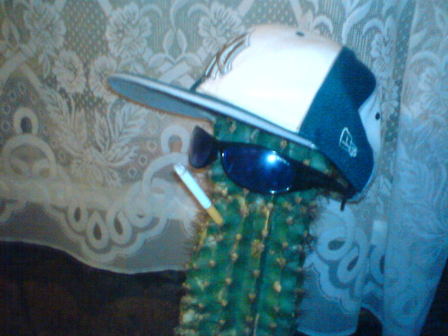 Na MeLaNU U PaWA:):):)
