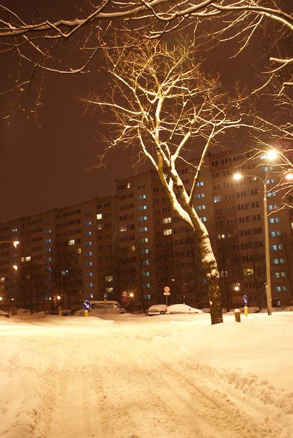 81.Czechw