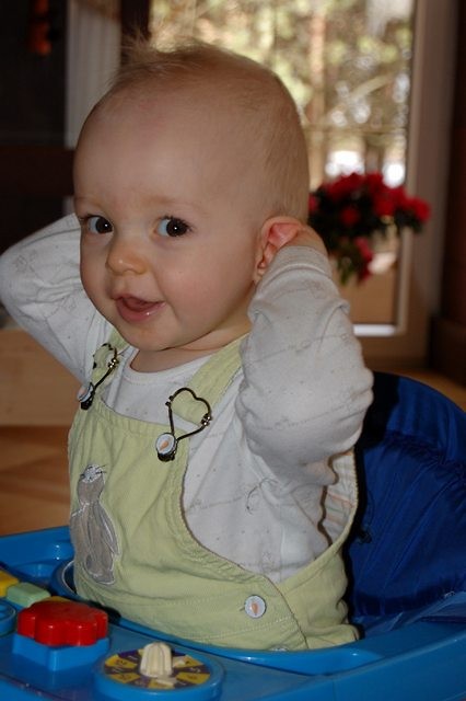 Dzibasek ;**