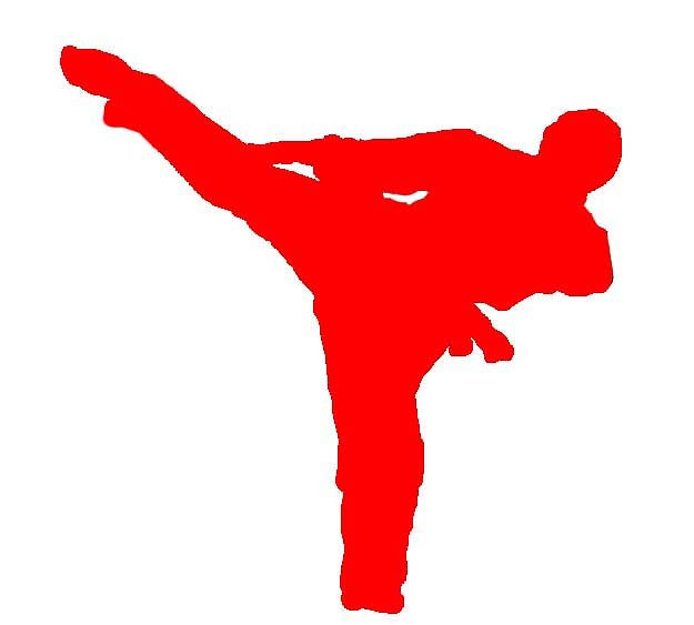 Karate Kyokushin