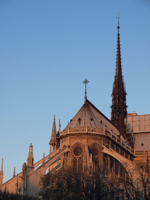 wit na Notre-Dame
