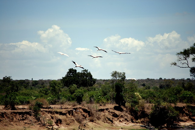 Wpis karibukenya