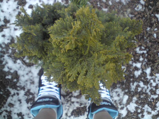Hehh.;D            l zespolik.;*