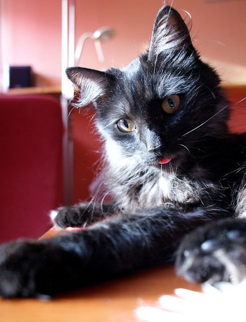 Pixel.