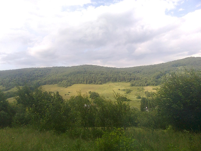 Widoczki