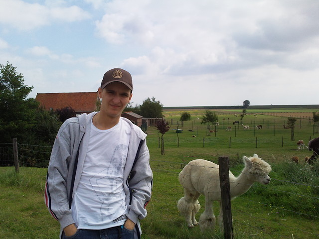 Lama:D