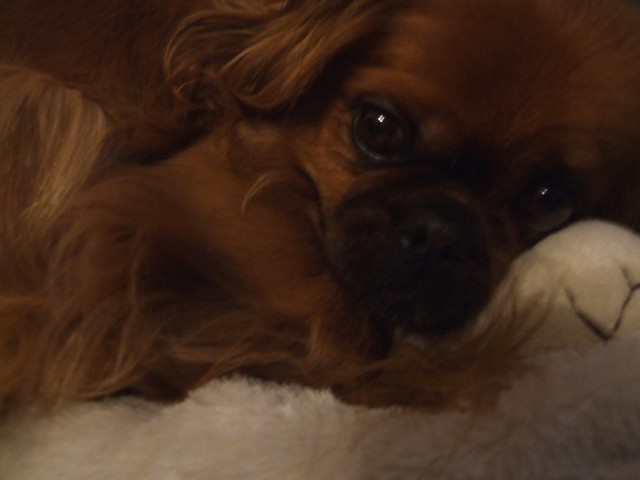 Wpis blackeyed