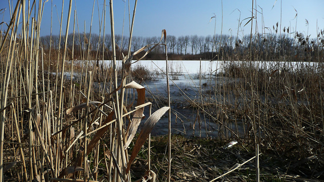 Wpis patryk1810